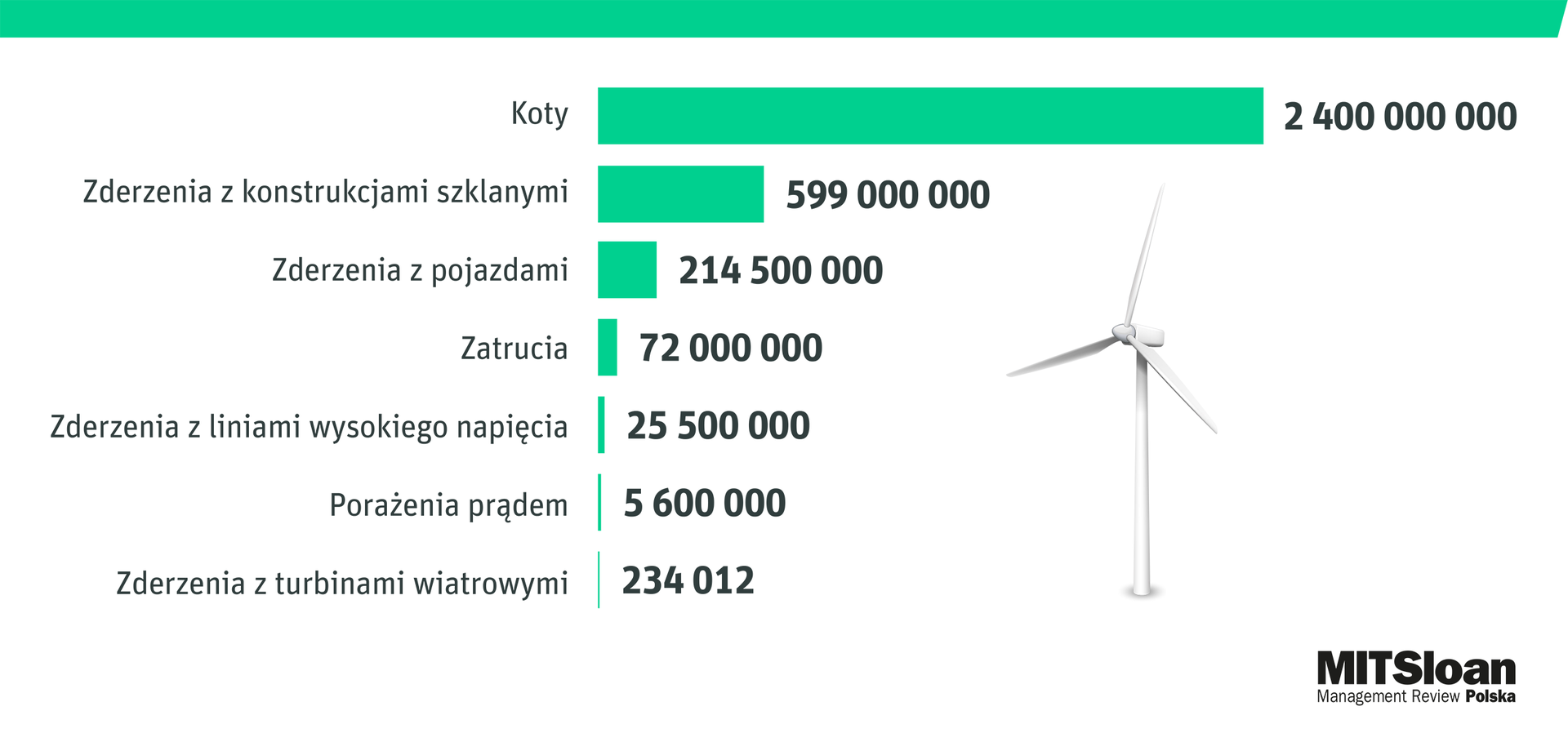 Czy turbiny wiatrowe stanowią zagrożenie dla ptaków?