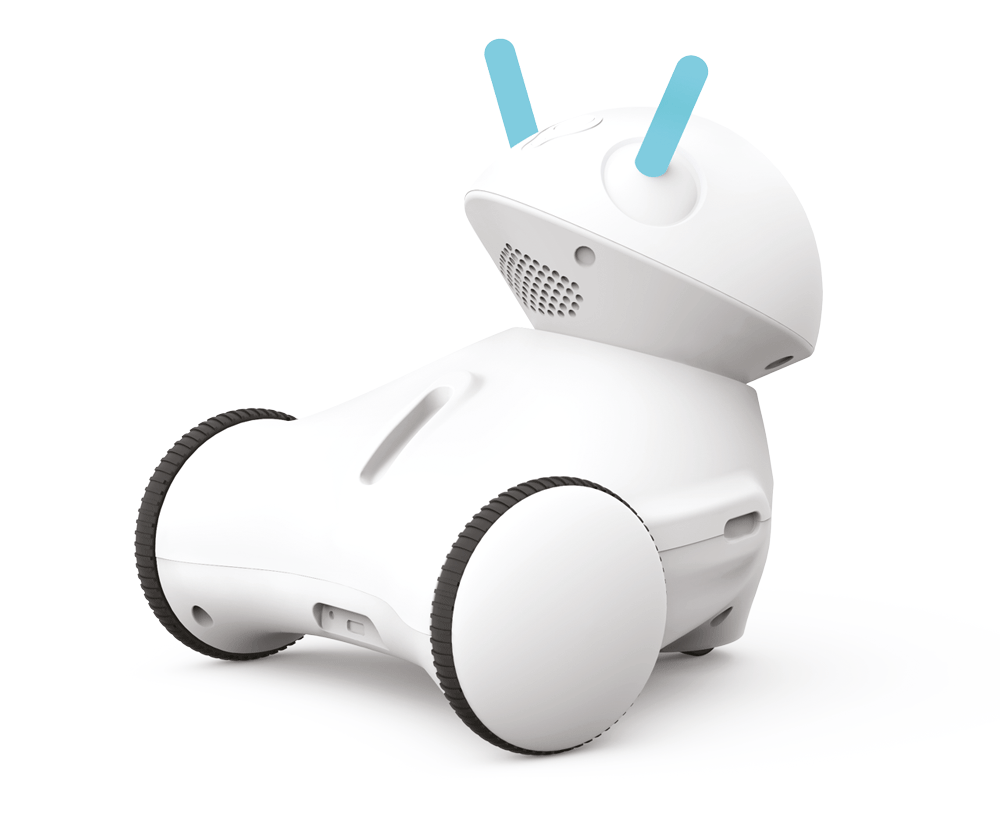 Wielka kariera małego robota
