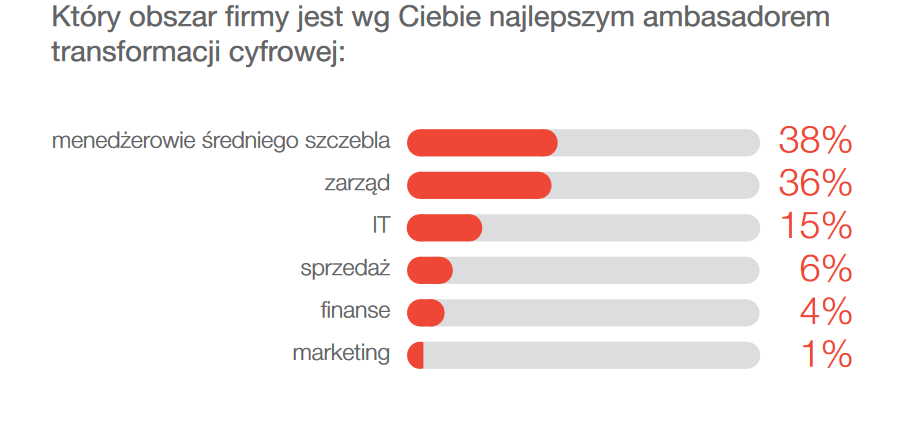 Transformacja cyfrowa firmy - na co zwracać szczególną uwagę?