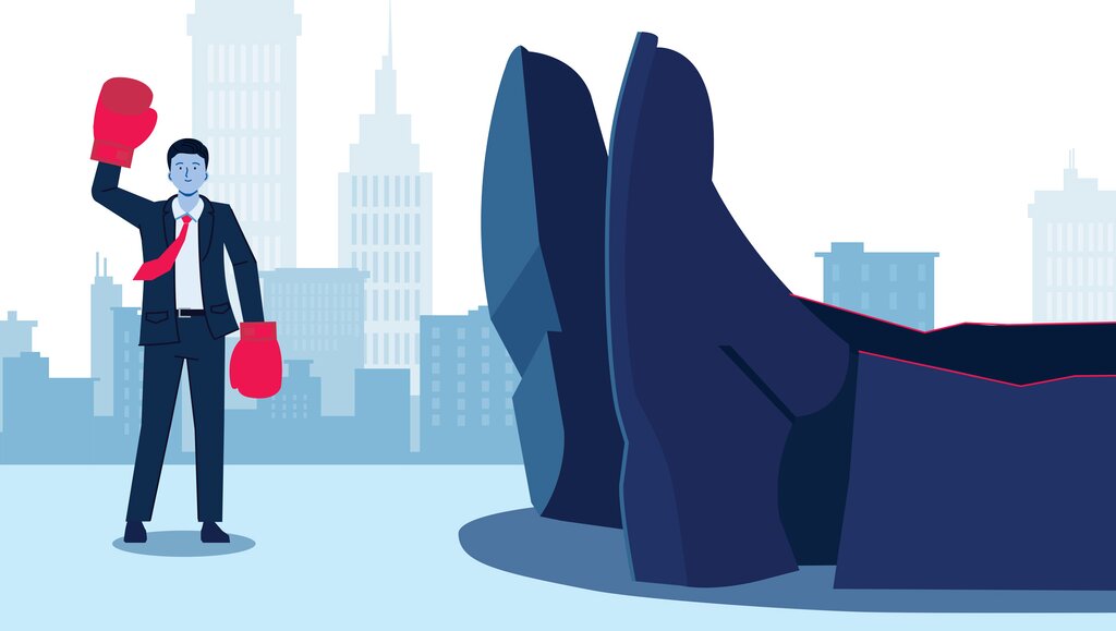 Case study odmiana 05 picture